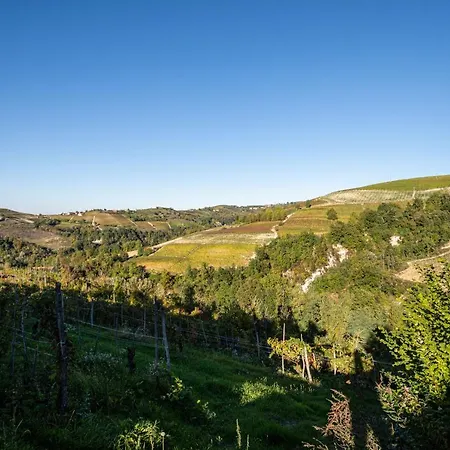 Tatil Evi Splendido Rustico Nella Langa *